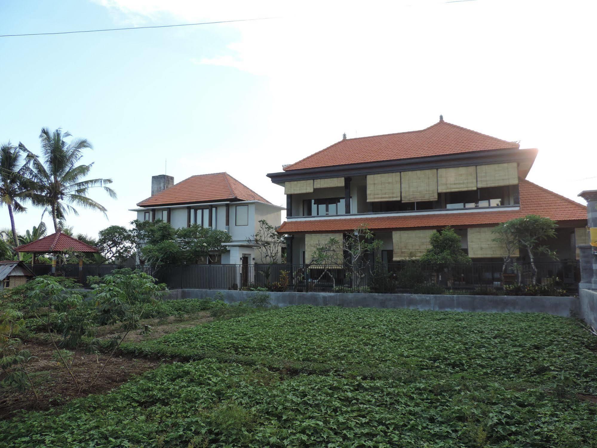 Duana'S Homestay Ubud Exteriér fotografie