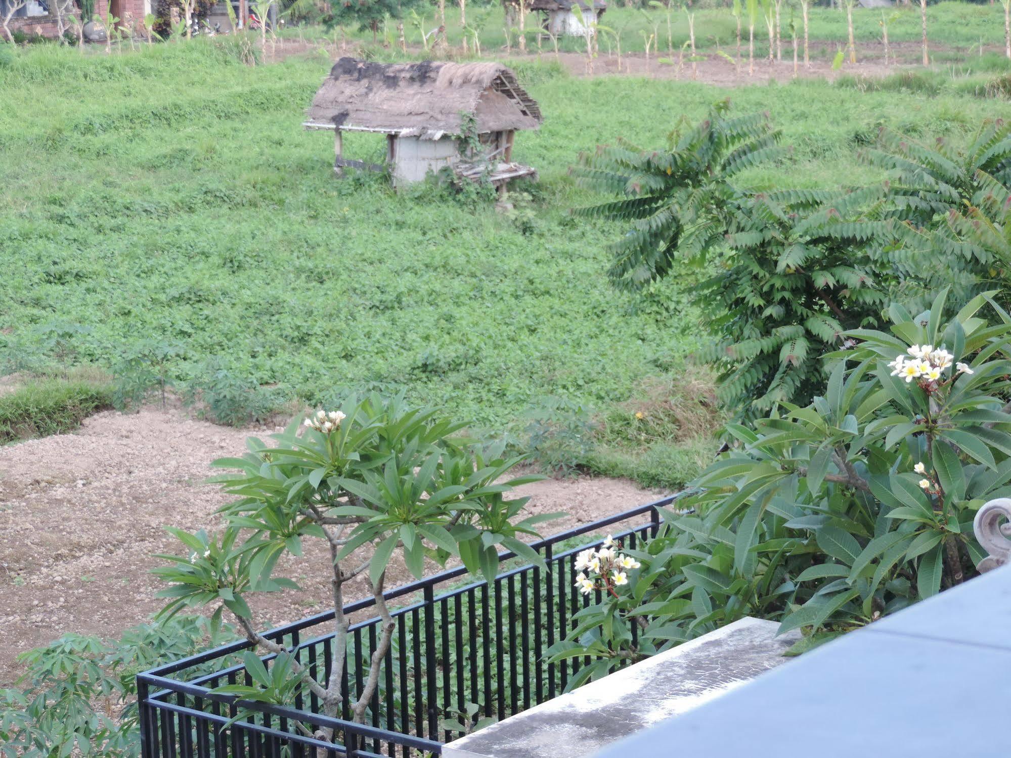 Duana'S Homestay Ubud Exteriér fotografie
